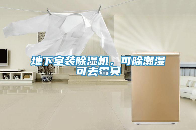 地下室裝除濕機(jī)，可除潮濕可去霉臭