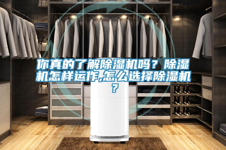 你真的了解除濕機(jī)嗎？除濕機(jī)怎樣運作,怎么選擇除濕機(jī)？