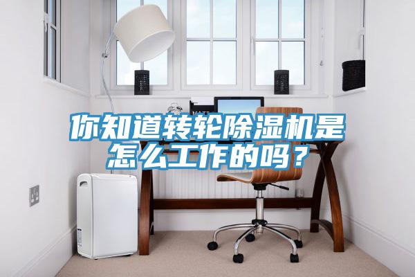 你知道轉(zhuǎn)輪除濕機(jī)是怎么工作的嗎？