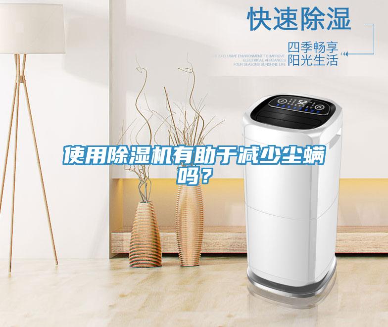 使用除濕機有助于減少塵螨嗎？