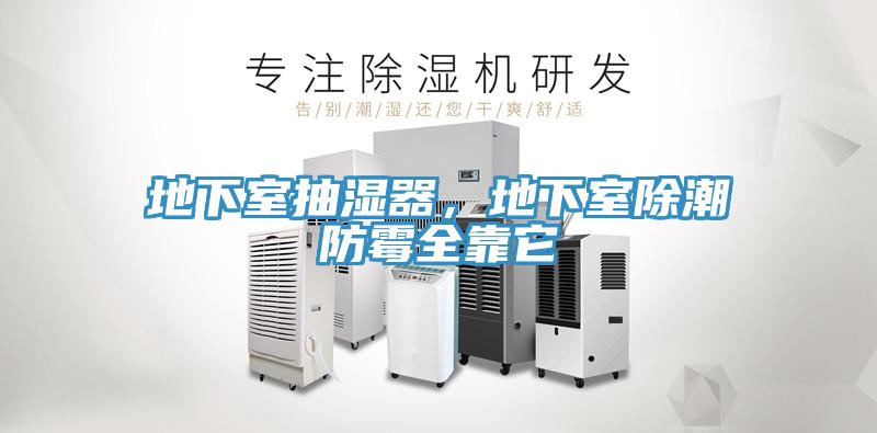 地下室抽濕器，地下室除潮防霉全靠它