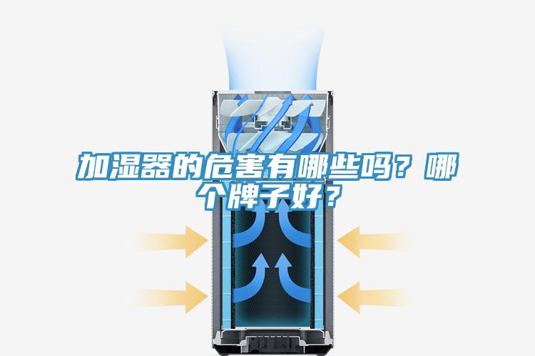 加濕器的危害有哪些嗎？哪個(gè)牌子好？
