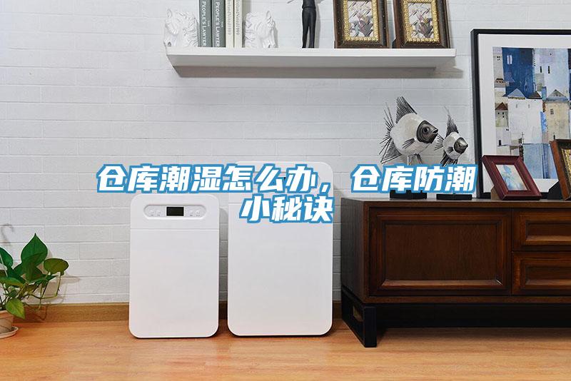 倉庫潮濕怎么辦，倉庫防潮小秘訣