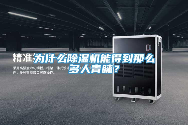 為什么除濕機能得到那么多人青睞？