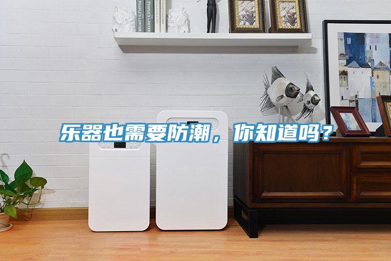 樂器也需要防潮，你知道嗎？