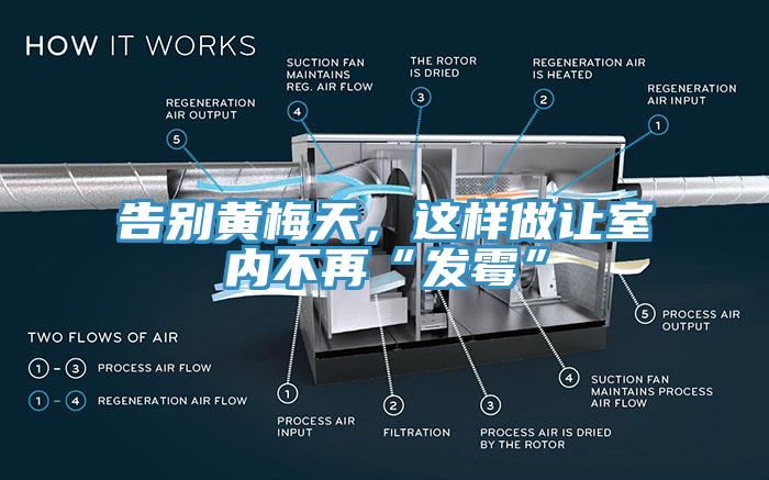 告別黃梅天，這樣做讓室內(nèi)不再“發(fā)霉”