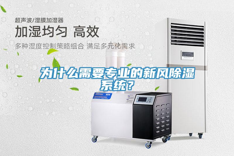 為什么需要專業(yè)的新風除濕系統(tǒng)？