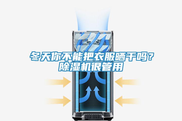 冬天你不能把衣服曬干嗎？除濕機很管用