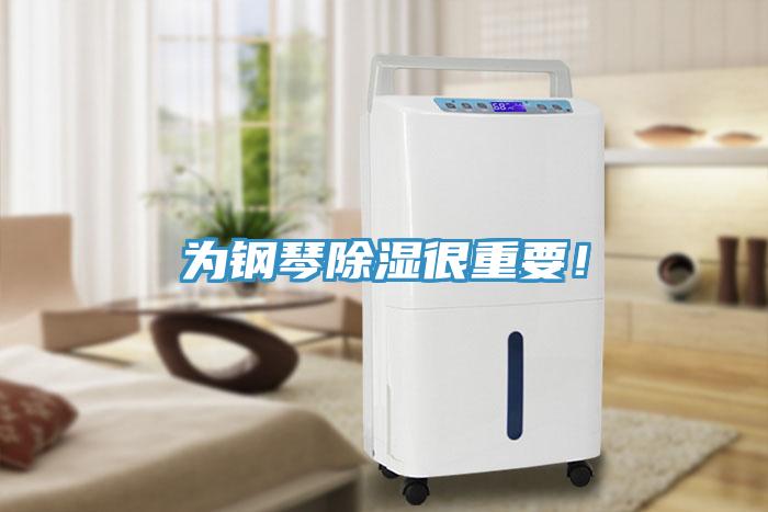 為鋼琴除濕很重要！