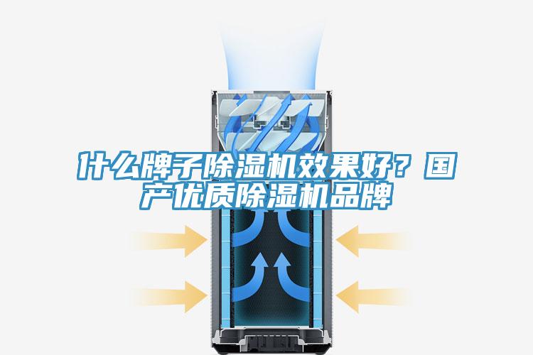 什么牌子除濕機(jī)效果好？國(guó)產(chǎn)優(yōu)質(zhì)除濕機(jī)品牌