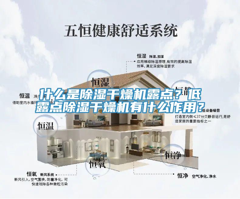 什么是除濕干燥機露點？低露點除濕干燥機有什么作用？