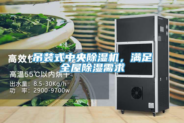 吊裝式中央除濕機(jī)，滿足全屋除濕需求