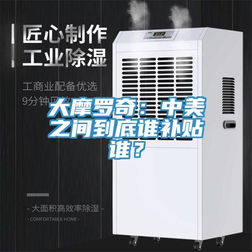 大摩羅奇：中美之間到底誰補貼誰？