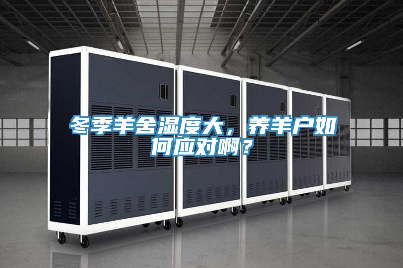 冬季羊舍濕度大，養(yǎng)羊戶如何應(yīng)對(duì)??？