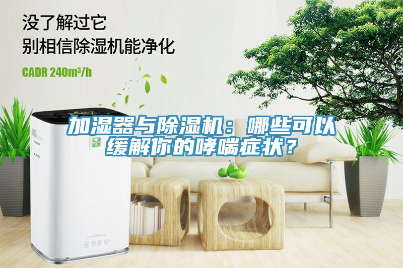 加濕器與除濕機(jī)：哪些可以緩解你的哮喘癥狀？