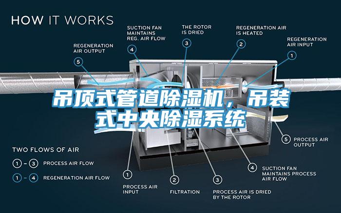 吊頂式管道除濕機(jī)，吊裝式中央除濕系統(tǒng)