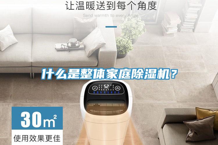 什么是整體家庭除濕機？