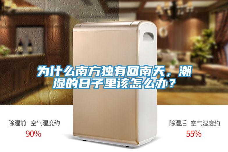 為什么南方獨(dú)有回南天，潮濕的日子里該怎么辦？