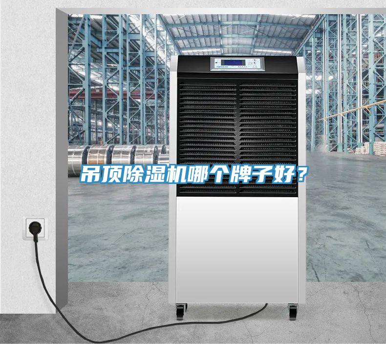 吊頂除濕機(jī)哪個(gè)牌子好？
