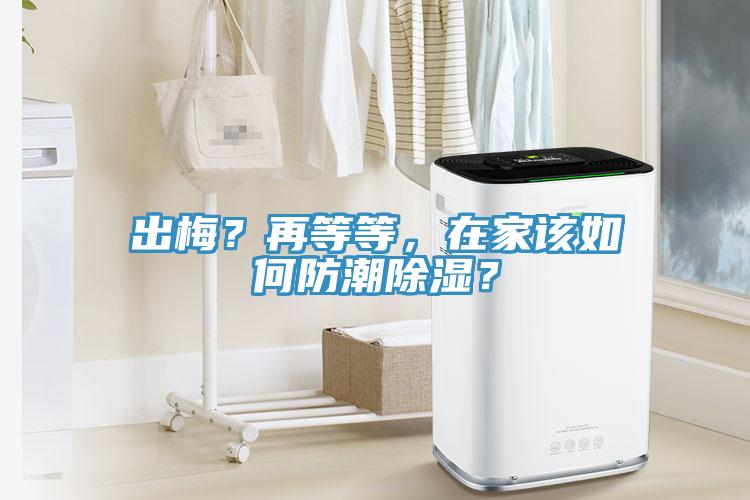 出梅？再等等，在家該如何防潮除濕？