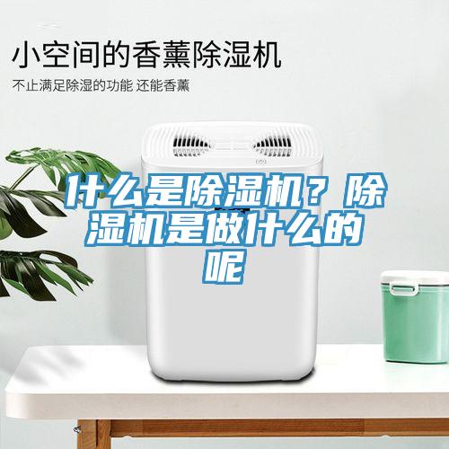 什么是除濕機(jī)？除濕機(jī)是做什么的呢