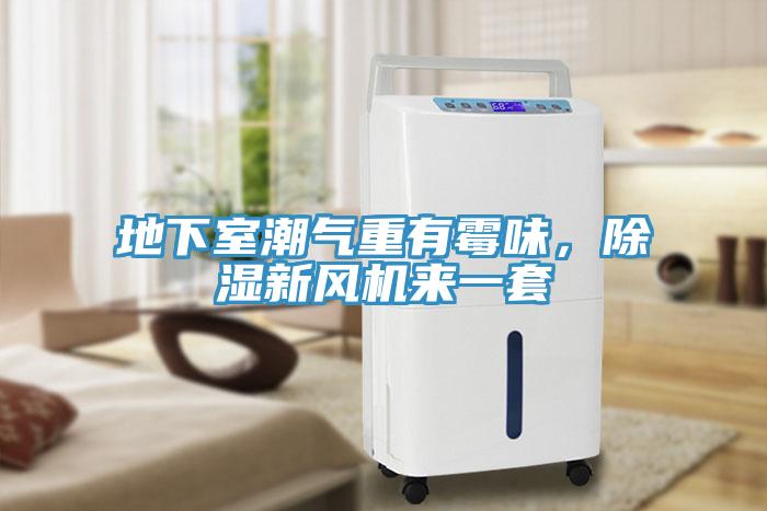 地下室潮氣重有霉味，除濕新風(fēng)機(jī)來一套