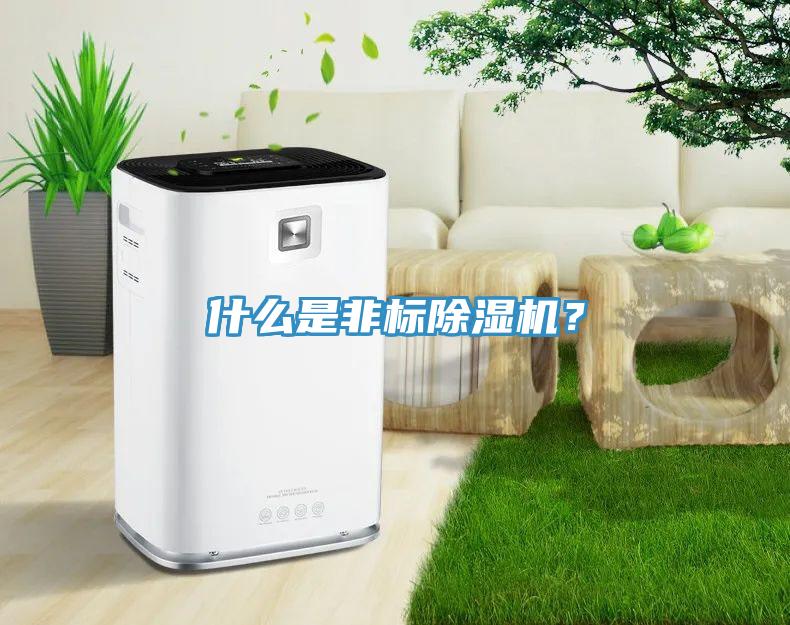 什么是非標(biāo)除濕機(jī)？