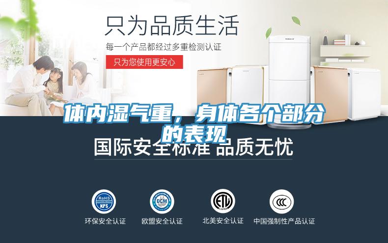 體內(nèi)濕氣重，身體各個(gè)部分的表現(xiàn)