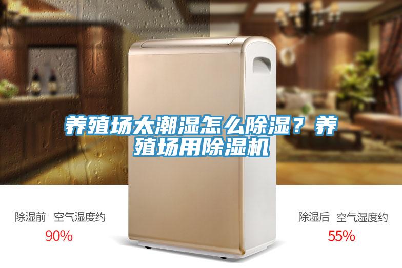 養(yǎng)殖場太潮濕怎么除濕？養(yǎng)殖場用除濕機(jī)