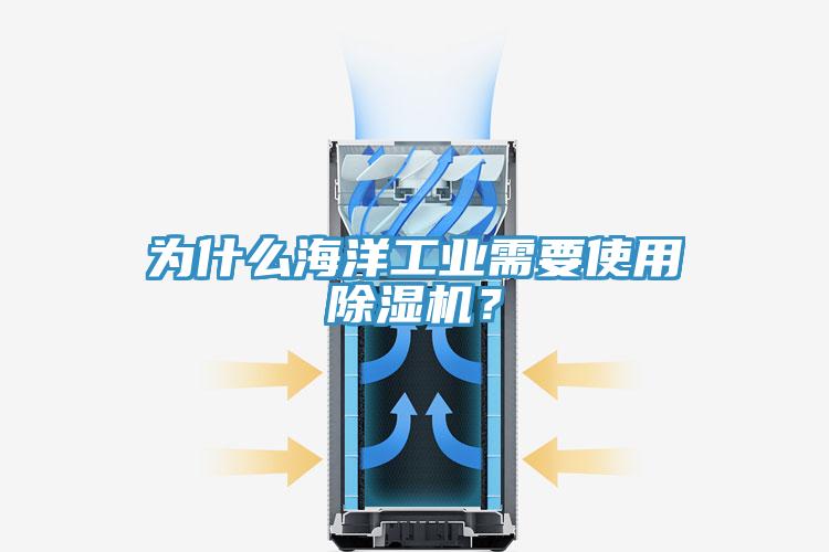 為什么海洋工業(yè)需要使用除濕機(jī)？