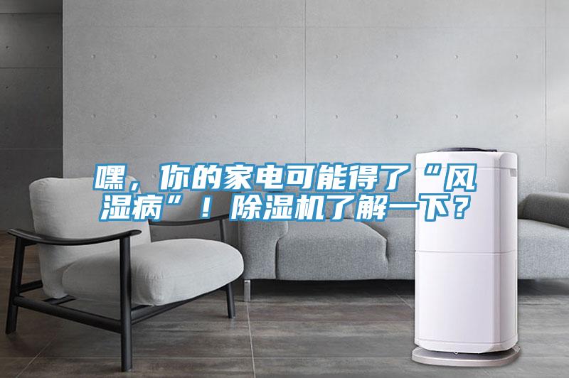 嘿，你的家電可能得了“風(fēng)濕病”！除濕機(jī)了解一下？