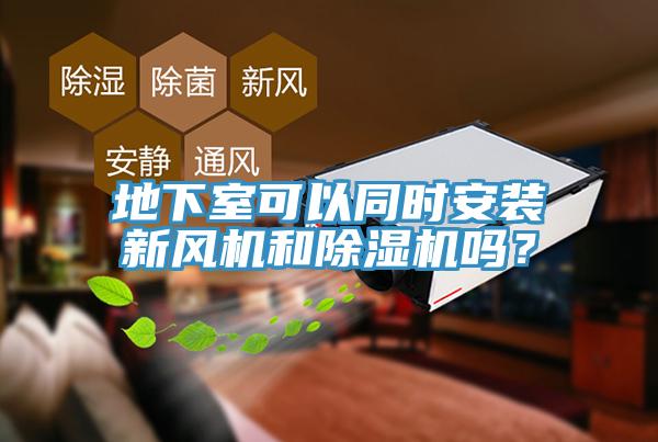 地下室可以同時安裝新風機和除濕機嗎？