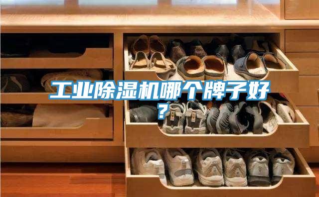 工業(yè)除濕機(jī)哪個(gè)牌子好？
