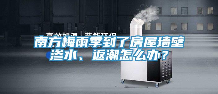 南方梅雨季到了房屋墻壁滲水、返潮怎么辦？