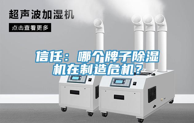 信任：哪個牌子除濕機在制造危機？