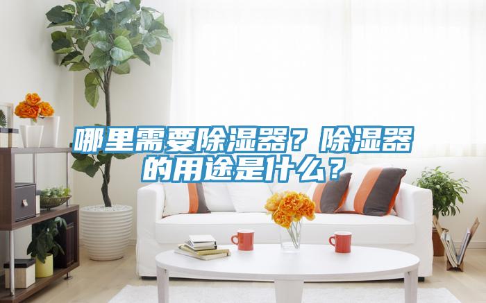 哪里需要除濕器？除濕器的用途是什么？