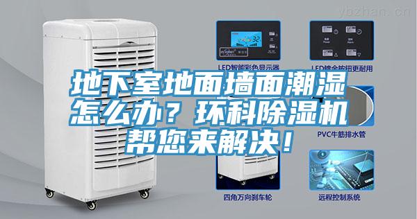 地下室地面墻面潮濕怎么辦？環(huán)科除濕機幫您來解決！