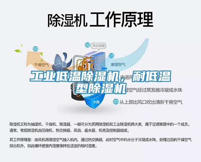工業(yè)低溫除濕機(jī)，耐低溫型除濕機(jī)