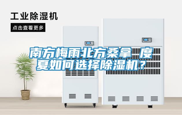南方梅雨北方桑拿 度夏如何選擇除濕機？