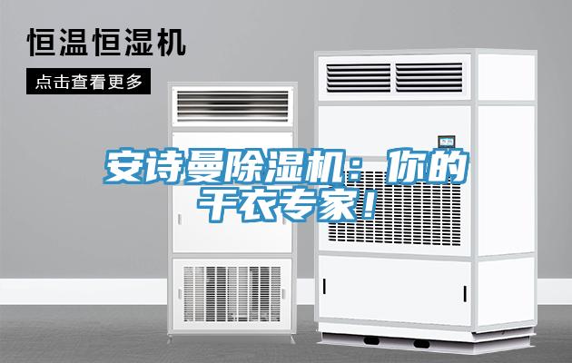 安詩曼除濕機：你的干衣專家！