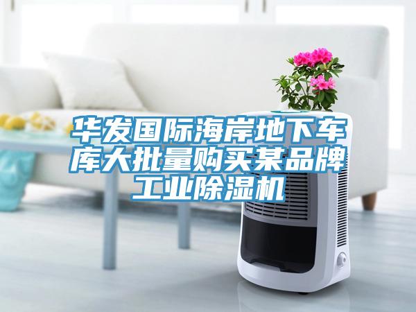 華發(fā)國(guó)際海岸地下車庫大批量購(gòu)買某品牌工業(yè)除濕機(jī)