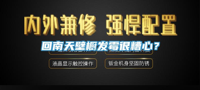 回南天壁櫥發(fā)霉很糟心？