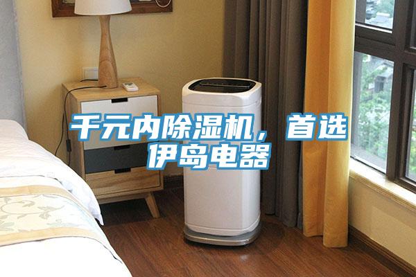 千元內(nèi)除濕機(jī)，首選伊島電器