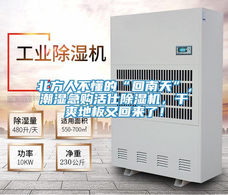 北方人不懂的“回南天”，潮濕急購(gòu)活仕除濕機(jī)，干爽地板又回來(lái)了！