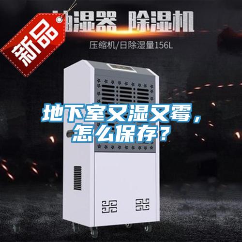 地下室又濕又霉，怎么保存？