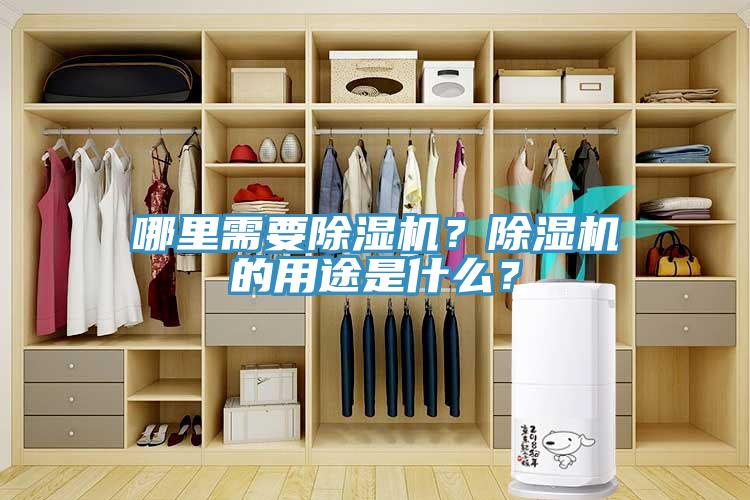 哪里需要除濕機(jī)？除濕機(jī)的用途是什么？