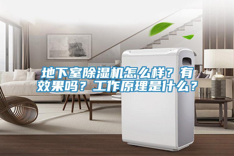 地下室除濕機怎么樣？有效果嗎？工作原理是什么？