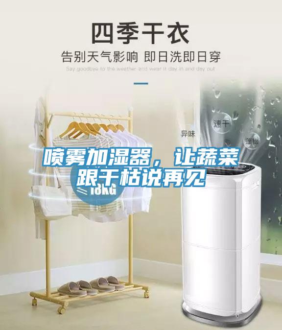 噴霧加濕器，讓蔬菜跟干枯說再見