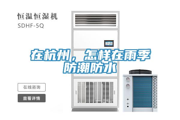 在杭州，怎樣在雨季防潮防水