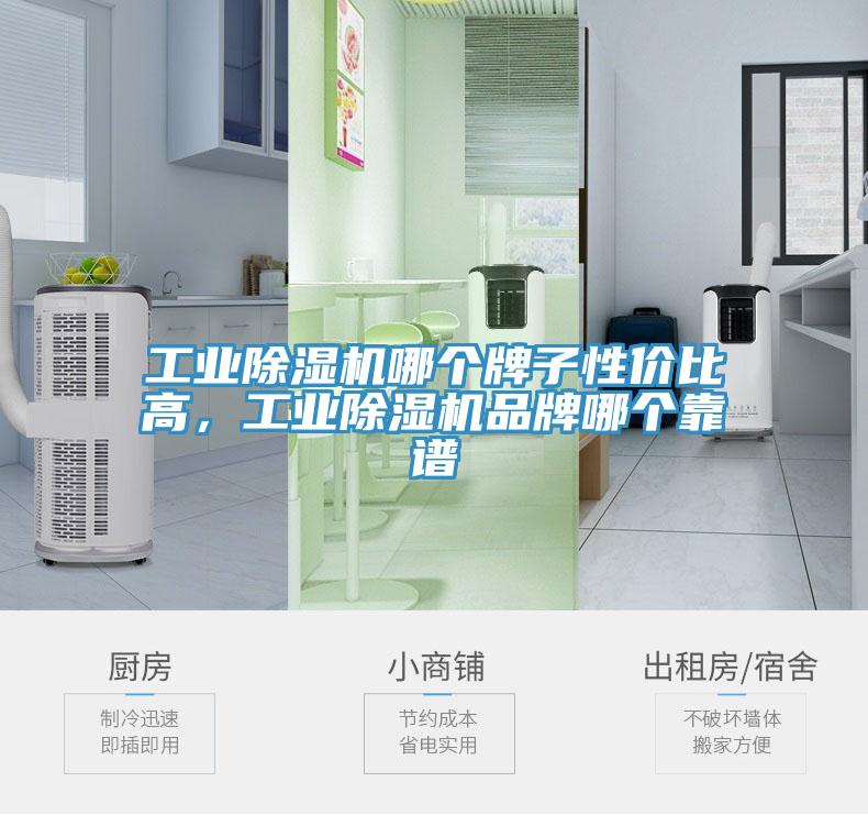 工業(yè)除濕機(jī)哪個(gè)牌子性價(jià)比高，工業(yè)除濕機(jī)品牌哪個(gè)靠譜